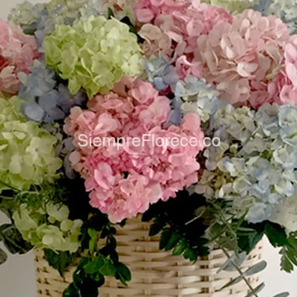 arreglo-de-flores-con-hortensias-rosas-azules-blancas-floristeria-florece