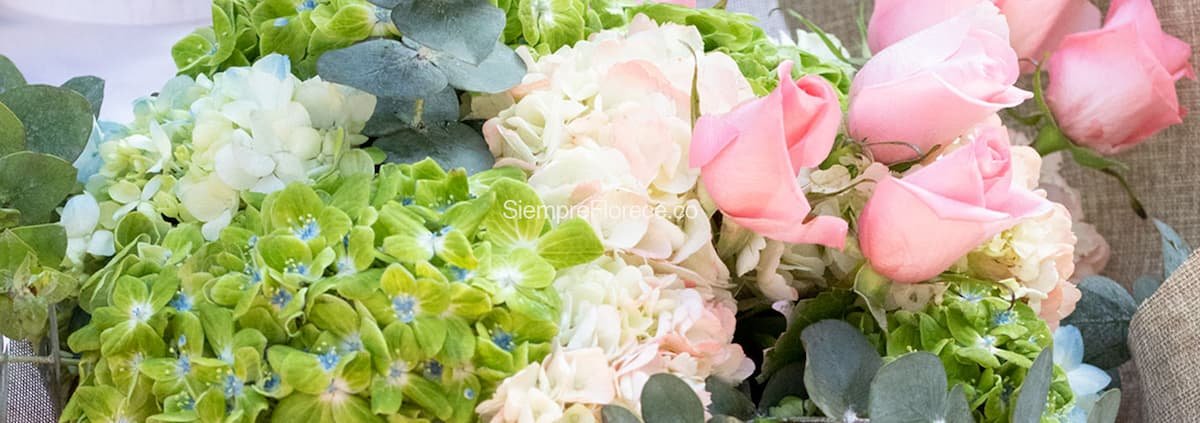floristeria-en-cali-arreglos-florales-con-hortensias floristeria-en-cali-arreglos-florales-con-hortensias