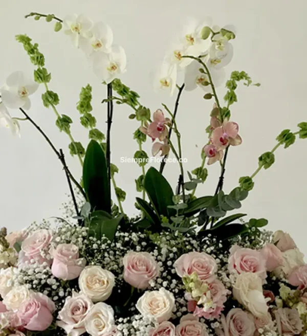 arreglo-de-flores-con-rosas-blancas-rosadas-orquídeas-Phalaenopsis-campanas-de-irlanda-Gypsofilia-cali