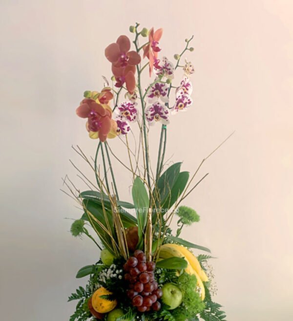 arreglo-de-orquidas-frutal-de-la-floristeria-FLORECE-cali-colombia