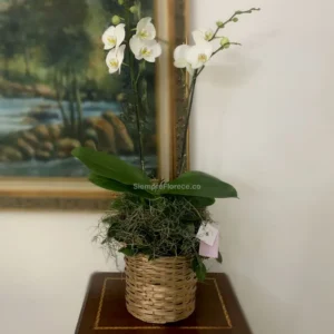 arreglo-floral-con-orquidea-y-canasto-artesanal-cali